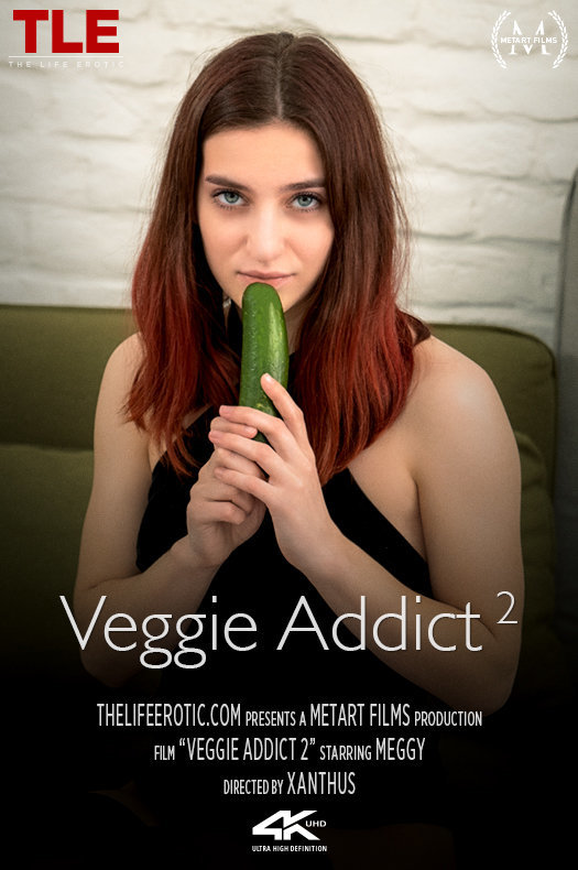 Veggie Addict 2