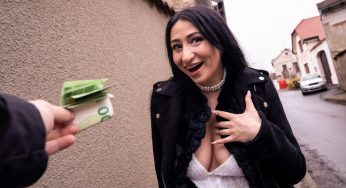 FakeHub PublicAgent Didi Zerati & Martin Gun – French wonder boobs loves big cock <i class="fas fa-video"></i>
