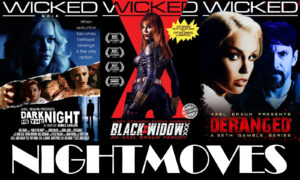 WICKED PICTURES Sweeps the 30th Annual NightMoves Awards