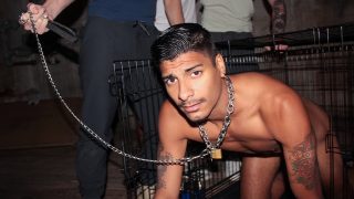 PigBottoms Apollo Fates, Johnny Moon, Ty Santana, Greyson Lane – Welcome, Ya Filthy Pig Bottom