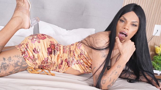 BrazilianTranssexuals Kimbely Soares – Well Hung Savage Ts Return