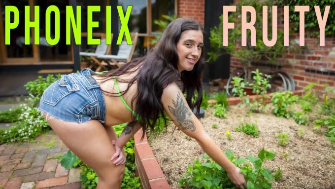 Fruity Phoneix
