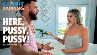 Here, Pussy, Pussy! Seth Gamble, Sky Wonderland