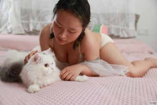 Chinese Cats Sang Wei