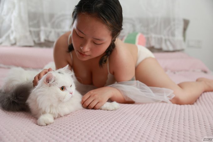 Chinese Cats Sang Wei