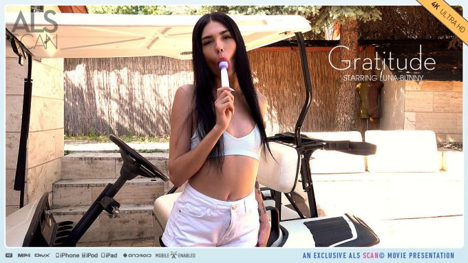 Gratitude Luna Bunny