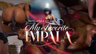 My Favorite Impala Pretty Impala, Jayy Alexis